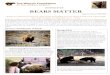 NEWSLETTER BEARS MATTER - Winton Foundation · supplemental feed drops to the very rare Gobi Bear. The Gobi bear is the rarest bear in the world today. In 2013, there were only 22