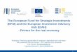 The European Fund for Strategic Investments (EFSI) and the ...enrd.ec.europa.eu/sites/enrd/files/w4_efsi_eiah_boehmcke.pdf · European Investment Advisory Hub What is the Advisory