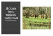 S&C Cattle Ranch, Highlands County Florida · S&C Cattle Ranch, Highlands County Florida. Asking $1800/Acre •8800 +/-acres •8770 +/-under WRP easement •$15,840,000 asking price