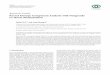 KernelEntropyComponentAnalysiswithNongreedy L1 ...downloads.hindawi.com/journals/cin/2018/6791683.pdf · ResearchArticle KernelEntropyComponentAnalysiswithNongreedy L1-NormMaximization