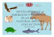 DEVELOPING AN EMERGENCY RESPONSE PLAN FOR NATURAL …museum-sos.org/docs/strat_develop_emergency_plan.pdf · EMERGENCY RESPONSE PLAN FOR NATURAL HISTORY COLLECTIONS David Tremain
