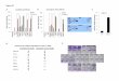 CXCL1 Tbk1-/- n WT · 6 8 WT mRNA expressio 10 Tbk1-/-M-CSF n Pixel Intensity Pixel Intensity 100 150 200 100 150 200 CXCL10 CCL5 0 2 4 WT Tbk1-/-Mea Mean M-CSF Relative 0 50 M-CSF