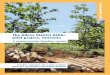 The Kilosa District REDD+ pilot project, Tanzaniapubs.iied.org/pdfs/G03624.pdf · The Kilosa District REDD+ pilot project, Tanzania Tanzania has decided to embark upon a national