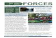 FORCES fall 2016 newsletter - New York State Parks ...€¦ · FORCES. Fall 2016 Newsletter. Vol. 1 Issue 3. The FORCES mission is to engage ... FORCES helped grow my resume and led