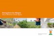 Energybeet for Biogas · 2015-02-04 · Energybeet . Hybrid Rye . Sunflower . OSR . 04/02/2015 . KWS UK - Seeding the future . 3 3 04.02.2015 EC/SEg ... February 15 sugar (Mono-,