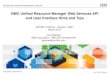 HMC WS API and UI Enhancements - the ... gdaniec@us.ibm.com zEnterprise Hardware Management Console