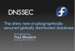 DNSSEC - Red Hat DNSSEC . Topics DNSSEC theory in 7 screen shots DNSSEC software: validating, signing