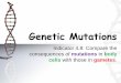 Genetic Mutations - Mrs. Wright's Class Websitemwrightsclassroom.weebly.com/.../4.8_genetic_mutations1.pdf · 2019-10-23 · Genetic Disorders: Gene Mutations 1) A gene mutation is