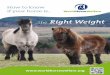 the Right Weight...The best form of exercise to help your horse to lose weight is a brisk walk or steady trot. Faster work burns carbohydrate rather than fat, so find ways to build