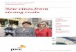 New vines from strong roots - PwC · 4 New vines from strong roots : Family Business Survey 2016 The family business sector in 2016 This year’s results tell us that despite tough