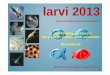 Larval challenge protocols: the quest for virulence and ... 5 - Thursday/11.40-12.00 - Larval...Challenge experiments on yolk sac larvae •Rearing of larvae in multiwell dishes •72