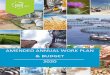 AMENDED ANNUAL WORK PLAN & BUDGET 2020 · 2020-04-14 · V This document establishes the 2020 Annual Work Plan and Budget, outlining the scope and details of research and innovation