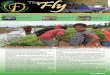 Inside this issue · The new Media Team takes charge of the Fly Breeze newsletter Feb 5 ... resisting social inﬂ uences that promote social ailment. Targeted to youths, the 6 week