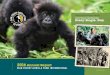 With your support, We are saving Gorillas: Every. Single. Day. · The Karisoke Research Center was founded by Dr. Dian Fossey in 1967, as she began her groundbreaking work studying