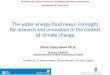 The water-energy-food nexus: Foresight for research and ... · The water-energy-food nexus: Foresight for research and innovation in the context of climate change Workshop D3: Policy