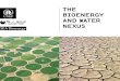 (The) Bioenergy and Water Nexus - Global Water …...The bioenergy and waTer nexus The present publication is an excerpt of the larger report ‘The bioenergy and water nexus’. It