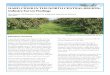 HARD CIDER IN THE NORTH CENTRAL REGION: Industry Survey ... · Industry Survey Findings Matt Raboin, UW-Madison Center for Integrated Agricultural Systems July 2017 Cider apple trees