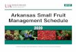 Arkansas Small Fruit Management Schedule 2020 MP467 · 2020-01-15 · DIVISION OF AGRICULTURE RESEARCH & EXTENSION University of Arkansas System . MP467 . Arkansas Small Fruit . Management