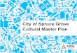 City of Spruce Grove Cultural Master Plan · 2017-11-16 · ii MDB Insight: City of Spruce Grove Cultural Master Plan Glossary of Terms. Community Arts - A particular kind of community-based