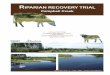RIPARIAN RECOVERY TRIAL - Alberta€¦ · RIPARIAN RECOVERY TRIAL Campbell Creek Carcey Hincz P.Ag. Carcey Hincz P.Ag. Rangeland Management Branch Lands Division Sustainable Resource