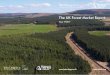 The UK Forest Market Report… · Other woodlands are covered in the Mixed Woodlands section. The UK Forest Market Report has been produced since 1998 and the data series now covers