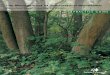 The Management of Semi-natural Woodlands · 2018-03-13 · The management of semi-natural woodlands: 3. Lowland mixed broadleaved woods. Forestry Commission Practice Guide. Forestry
