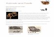Animals and Fossils - Department for Environment and Water · 2015-04-27 · Animals and Fossils Extinct Animals: Thylacoleo carnifex Thylacoleo carnifex Class: Mammalia Supercohort: