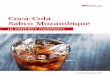 Coca-Cola Sabco Mozambique · 2020-02-11 · COCA-COLA SABCO MOZAMBIQUE time soon. If this needed further underlining, it is also the largest greenfield undertaking Coca-Cola has