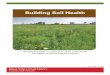 Building Soil Health - Iowa State University · Cover Crops The inclusion of cover crops such as mixed cover crops, legumes, small grains, radishes, and others in the crop rotation