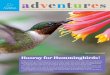 Ruby-throated Hummingbird Hooray for Hummingbirds! Hummingbirds also flap amazingly fastâ€”from 20 to