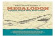 Educator’s Guide - Florida Museum of Natural History...Educator’s Guide Megalodon: Largest Shark that Ever Lived (a traveling exhibit) and this Educator’s Guide were produced