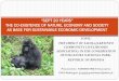 “SEPT 20 YEARS” THE CO-EXISTENCE OF NATURE ......safeguarding of the mountain Gorillas that are in danger of extinction Gorillas increased from 300 to 480 in 2012, 2005-2006-2007-2008: