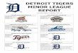 DETROIT TIGERS MINOR LEAGUE REPORT - MLB.commlb.mlb.com/documents/7/0/2/236197702/2017_Minor_League...Alfred Gutierrez started and pitched 5.2 innings, allowing four runs, on five