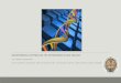 BIOINFORMATICS APPROACHES FOR METAGENOMICS DATA … Work… · bioinformatics approaches for metagenomics data analysis ad i d oron - faige nboim p lant s ciences , veg etab le and