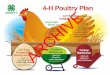 4-H Poultry Plan - Alabama Cooperative Extension System · 4-H Poultry . Judging Contest 4-H Egg Preparation. ... more of a Chick Chain project or a 4-H poultry project What: Contest