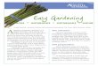 How to Grow Asparagus - Texas A&M University · Care during the season. Asparagus competes poorly with weeds. For asparagus to grow vigorously, weeds must be controlled in the first