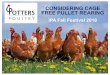 CONSIDERING CAGE FREE PULLET REARING...•A 3rdgeneration family farming business •UK’s largest independent supplier of quality pullets for over 50 years •Cage Free Equipment