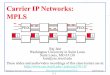 Carrier IP Networks: MPLSjain/cse570-19/ftp/m_05cip.pdf · 2019-10-20 · LSR Label Switching Router MPLS Multi-Protocol Label Switching OAM Operation, Administration and Maintenance