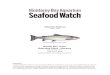 Atlantic Salmon - Seafood Watch w… · Atlantic salmon farmed by the Salten Aqua Group in the Skjerstad Fjord (aka Skjerstadfjorden) in Nordland, Norway, in marine net pens receives
