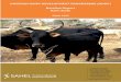 NIGERIAN DAIRY DEVELOPMENT PROGRAMME (NDDP) Baseline ... · NDDP: Kano Baseline Report 1 EXECUTIVE SUMMARY A. Overview of the Baseline Study The Nigerian Dairy Development Program