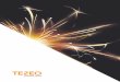A SPARK THAT IGNITES A NEW · A SPARK THAT IGNITES A NEW APPROACH /03 Teneo is a Specialist Integrator of Next-Generation Technology. We help global organisations achieve better network