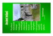 Ancient Ireland - Cloverleaf Local Ireland.pdfkingship, which to the ancient Celts were intertwin ed. • There were many ancient Celtic deities, (polytheism) each tribe having their
