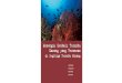 LeMBaga penyuMBang€¦ · nTriangle Initiative on Coral Reefs, Fisheries, and Food Security (CTI-CFF)/Upaya Kawasan Segitiga Terumbu Karang Coral untuk Terumbu Karang, Perikanan,