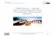 SME focus - Long term strategy for the European …...industrial strategy. It presents the recent SME and digital strategies, together with the European Green Deal. The author recommends