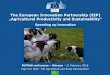The European Innovation Partnership (EIP) „Agricultural ... · Health and Consumers The European Innovation Partnership (EIP) „Agricultural Productivity and Sustainability“