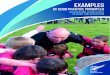NEW ZEALAND COMMUNITY SPORT COACHING PLAN 2012 …€¦ · coaching or refereeing Small Blacks rugby. Applicants have a chance to opt out and not be exposed to a vetting process