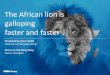 The African lion is galloping faster and faster€¦ · The African lion is galloping faster and faster Presented by James Budd Chairman of the Budd Group Rhea Li & Van Hong Dang