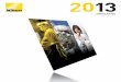 Year ended March 31, 2013 - Nikonfor commercialization within the fiscal year ending March 2016. The target for the business scale is net sales of around ¥100 billion at some point