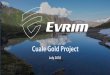 Cuale Gold Project · statementsare based on the beliefs, estimates and opinions of the Company's management on the date the statements are made. Exceptas required by securities laws,