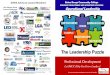 The Leadership Puzzle - Baton Rouge Community …Operational Leadership This leadership development process is best suited for first-line supervisors and those aspiring to become supervisors